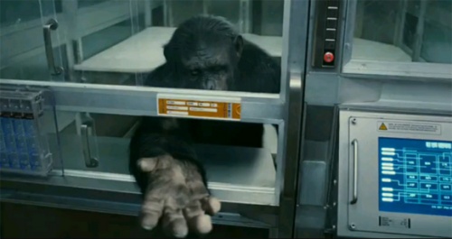 LA PLANETE DES SINGES-LES ORIGINES