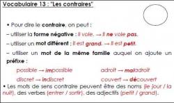 Les leçons Etude de la langue CE1 période 5