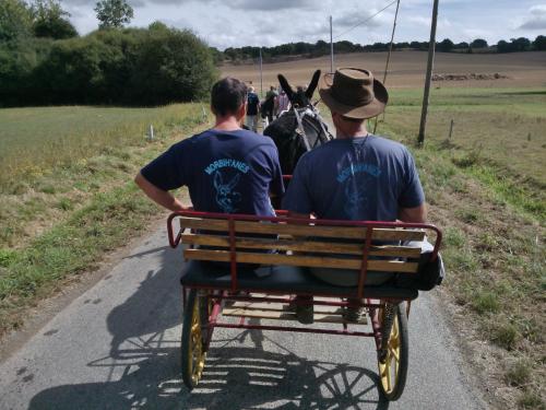 - Sorties et randonnées "Morbih'âne" 2016