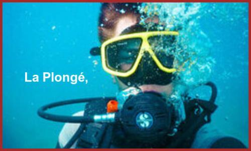 ღ꧁ღ╭⊱ꕥ   20 La Corse  ꕥ⊱╮ღ꧂ღ