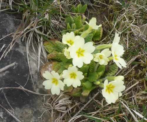 Hommage à Maurice Ruin 