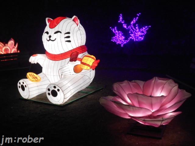 Limoges : L'odyssée lumineuse (3) et fin