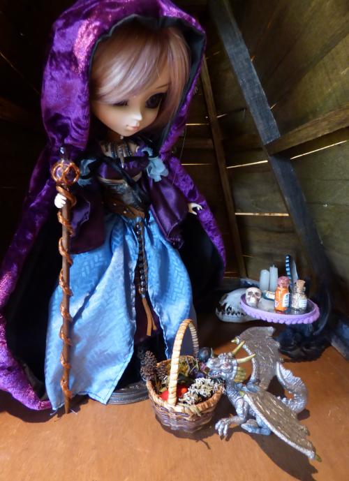 Un automne avec Fauna