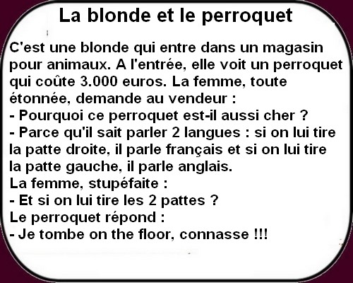 On ne rate pas l'humour du mercredi