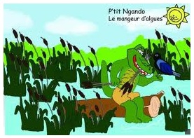 petit ngando mangeur d algues