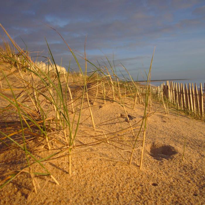 Département de la Vendée