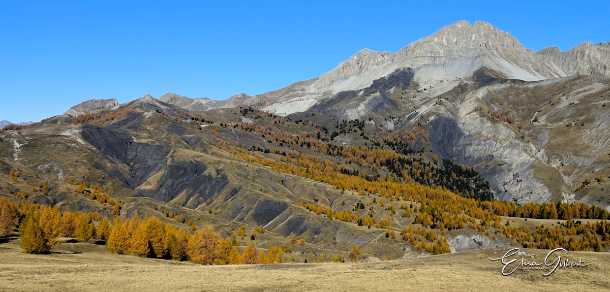 Dernier jour d'automne