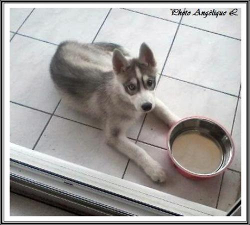 Jeska (3 mois)