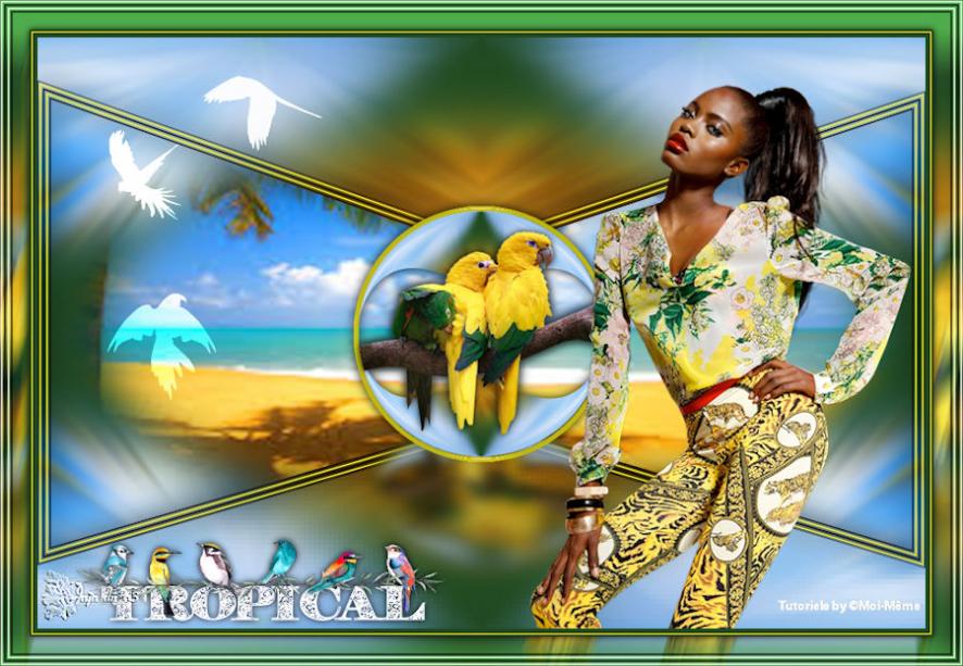 Tropical