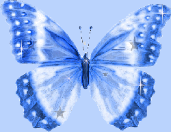 Papillon "gris/rose"