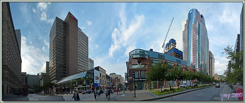 Belles architectures de verre et d'acier - Montréal - Québec - Canada