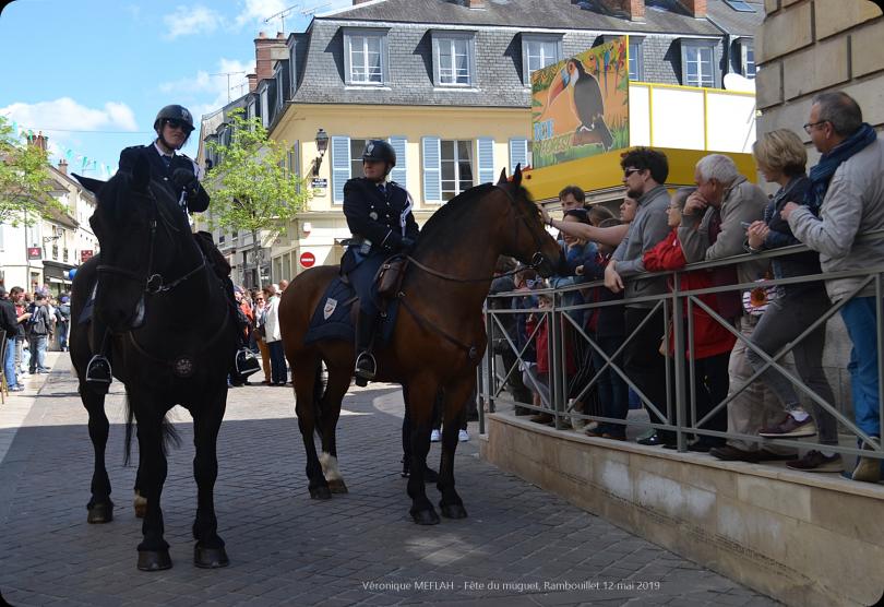 Rambouillet : Fête du muguet 2019