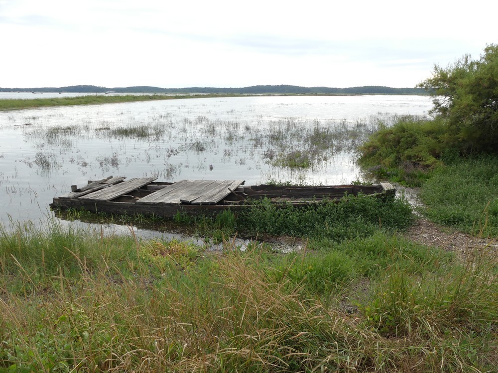 Le port ostréicole à Arès et les peintres...
