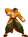Gifs animees