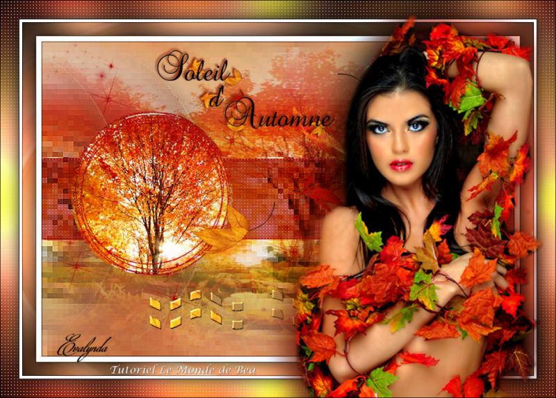 Soleil d'Automne