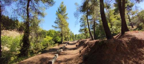 Balades au pluriel !