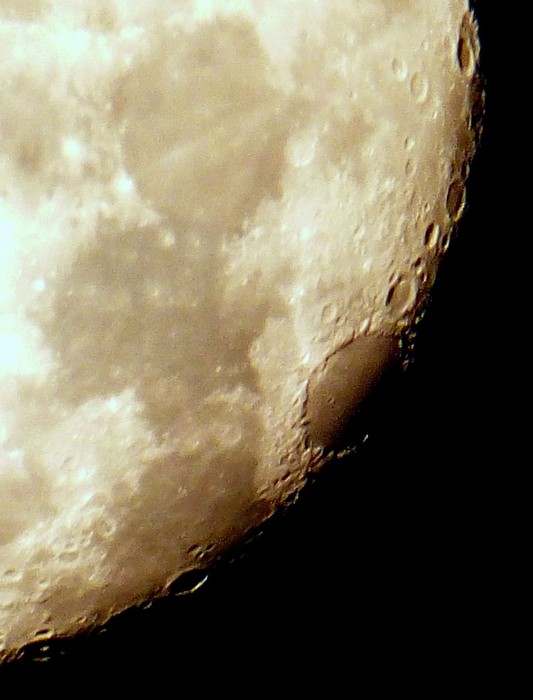 Quelques insolites ...