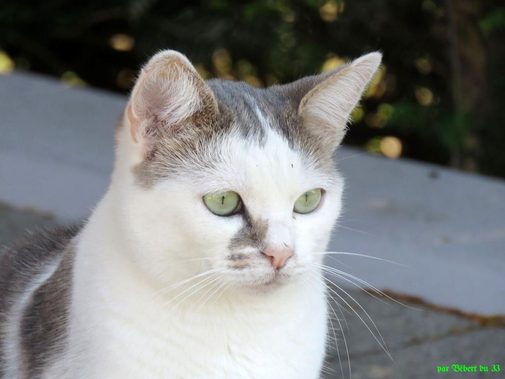 Balade à vélo depuis Fessenheim -3