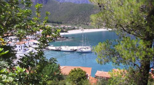 Portrait de KIPARISSI