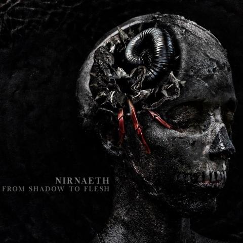 NIRNAETH - Détails et extrait du nouvel album From Shadow To Flesh