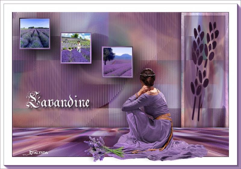 Lavandine