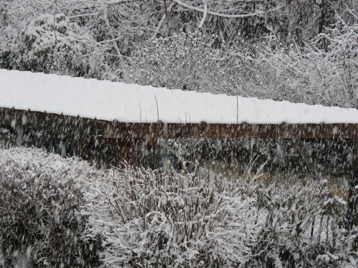 UN TEMPS DE SAISON JANVIER 23