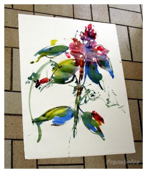 expo l'ACAP