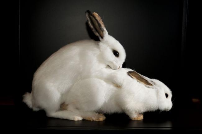 Blagounettes du lundi ... !!!