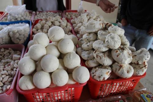 De Ferghana à Tachkent, en passant par le col Kamtchik