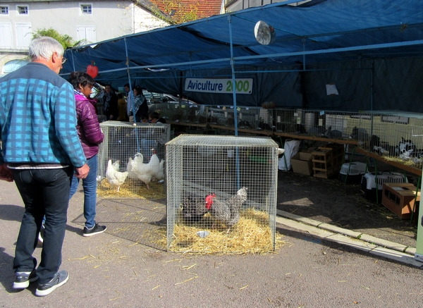 La Fête de la Pomme 2018 à Laignes