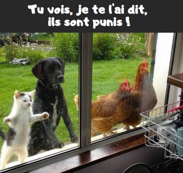 Rions un peu en ces temps difficiles....