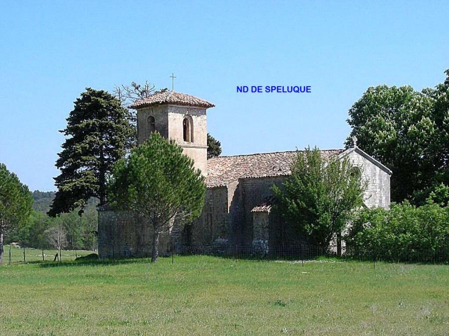 AMPUS - ND DE SPELUQUE