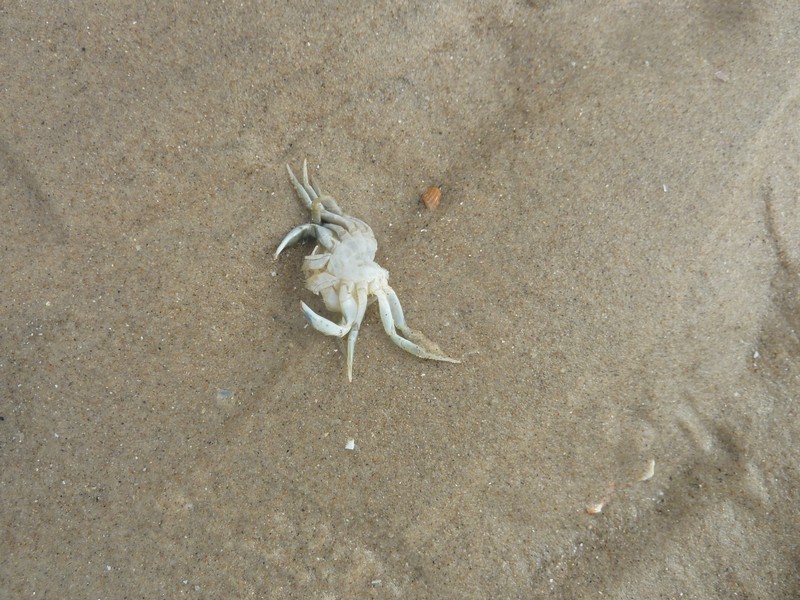 La mer ...