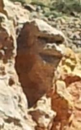 La Page de Marsouin3