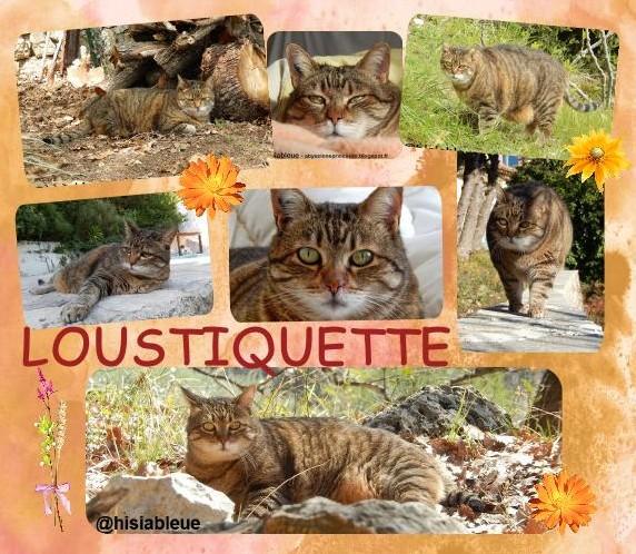 Loustiquette notre amie s'est envolée ...