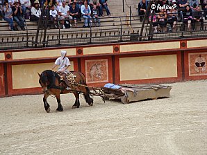 Dsc05616marq