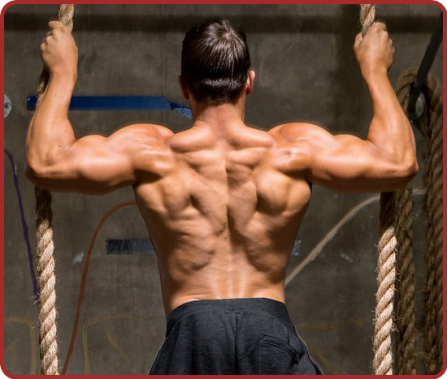 Que Des Muscles.