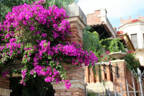 Lundi 19 au dimanche 25.10 + Bonus