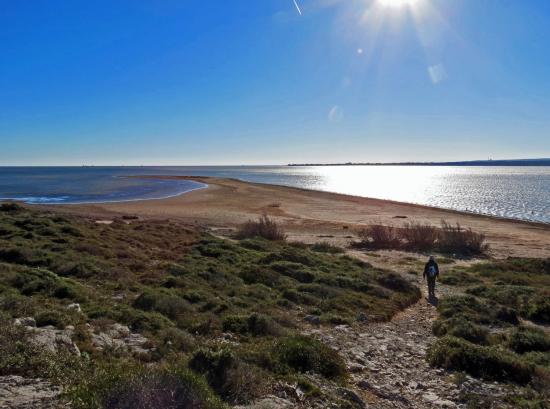 L'ILE-SAINT-MARTIN-GRUISSAN