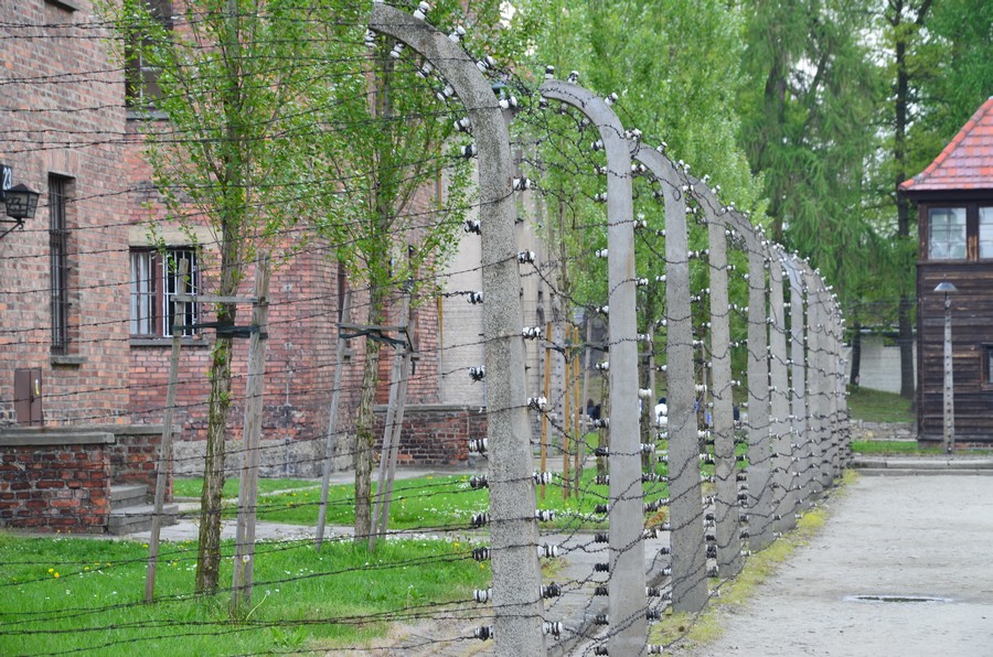 camps Auschwitz Birkenau Pologne Schnoebelen