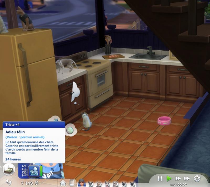 Semaine 3 - Quartier Brindleton Bay - Foyer Lynx