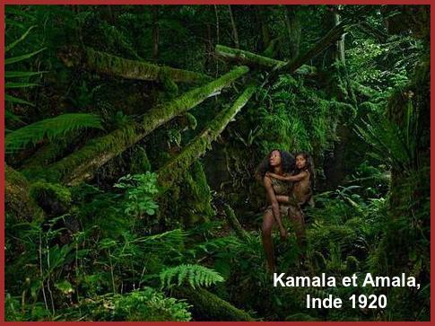 Les Enfants De La Jungle.