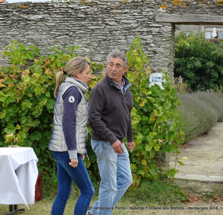Pornic, Vendanges à l'Auberge de la Fontaine aux Bretons -  2018