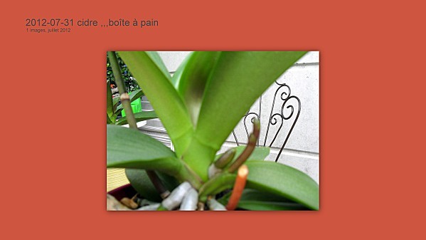 2012-07-31-cidre----boite-a-pain5.jpg