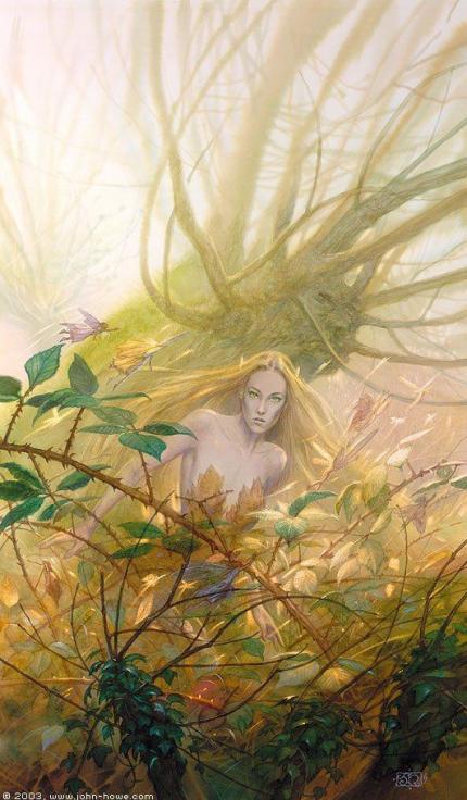 LES PLUS BELLES IMAGES DE FEES