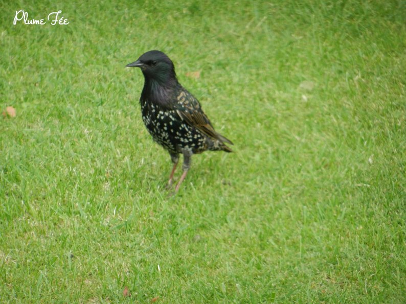 Image012.jpg