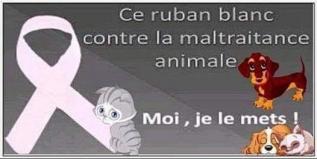 ღ꧁ღ╭⊱ꕥ Un Petit  Moment Ensemble  ꕥ⊱╮ღ꧂ღ