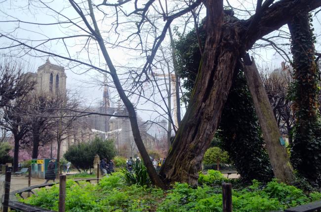 ☻ Visite des églises Saint-Séverin, Saint-Julien-le-Pauvre et Saint-Etienne-du-Mont avec G13