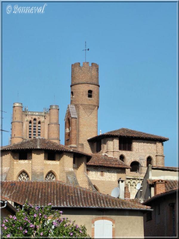 Albi la Cité Episcopale la Collégiale Saint Salvi