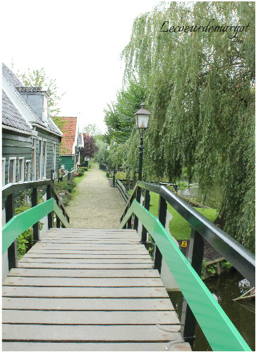 Pays-Bas / Le joli village de Zaanse Schans